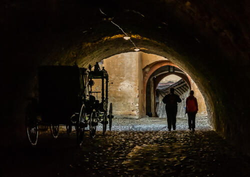 AMFO_2020_region_1024-1