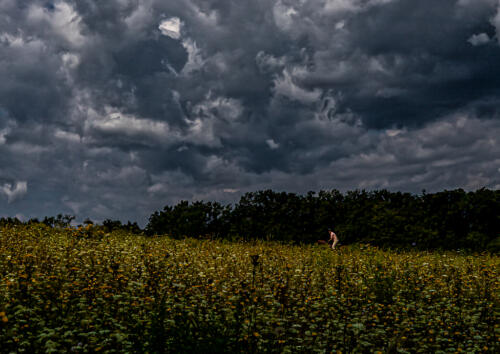 AMFO_2020_region_1024-3