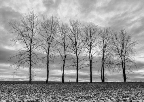 AMFO_2020_region_1024-4