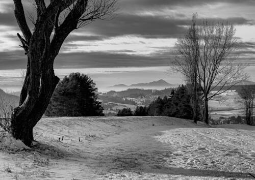 AMFO_2020_region_1024-7