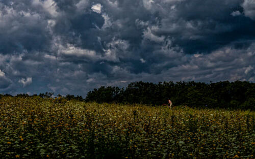 escape_from_the_storm